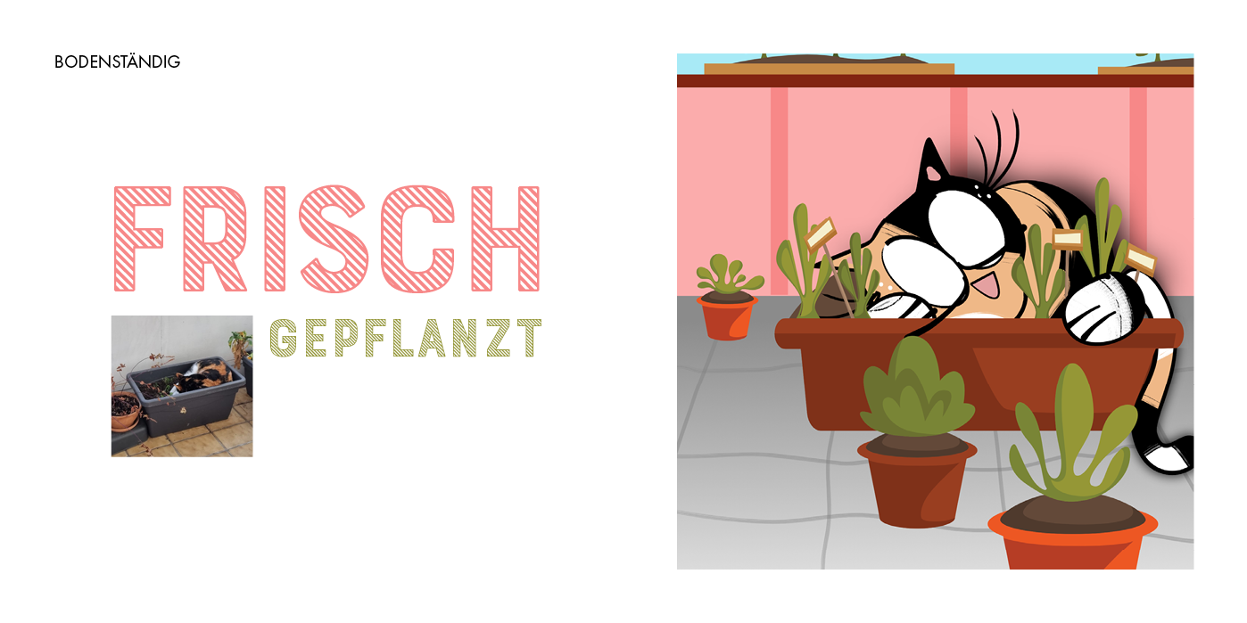 katzenaugen19