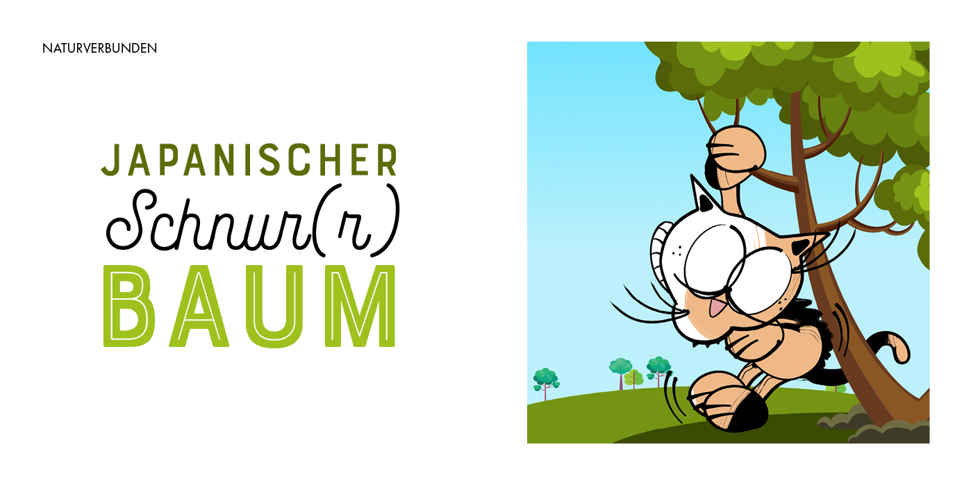 Slideshow Die Welt aus Katzenaugen